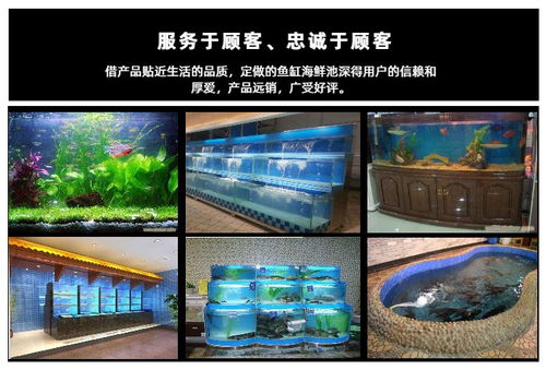 海鲜池定制推荐 欣玺汇专业图文设计制作服务